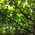 20140629_155028.jpg
