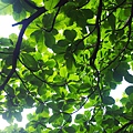 20140629_154708.jpg