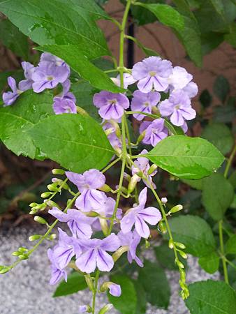 20150516_151635.jpg 20150516_151635.jpg