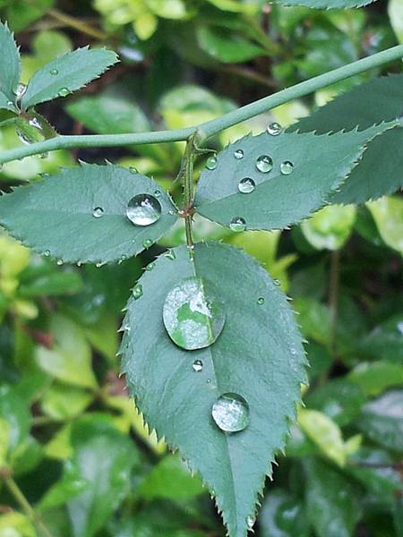 20150826_08透明的華麗
