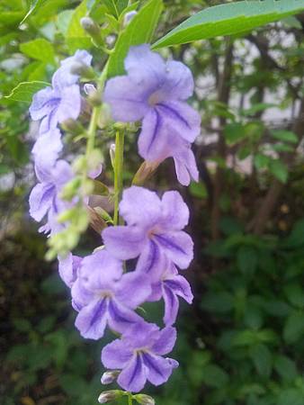 20150930_1 20150930_1