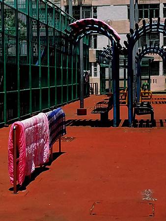 20170807_114750 20170807_114750