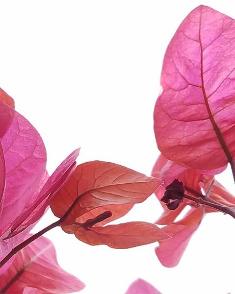 IMG_20180106_022933_503