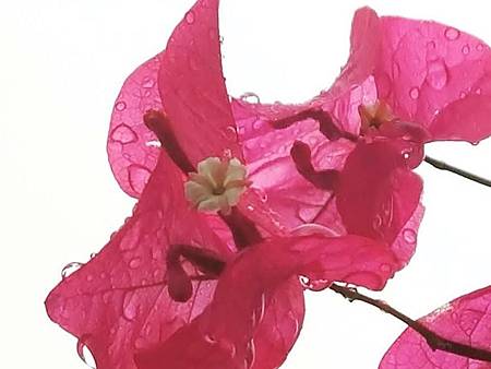 IMG_20181030_001343_524