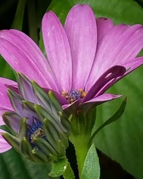 IMG_20181102_000829_489