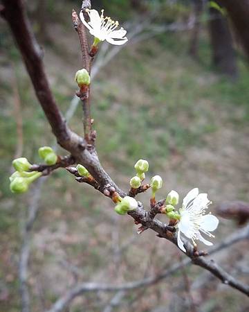 IMG_20190111_000259_792