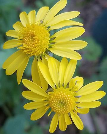 IMG_20190129_000754_957