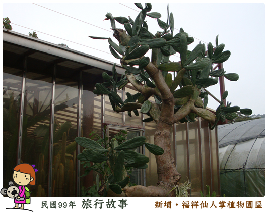 福祥仙人掌植物園區