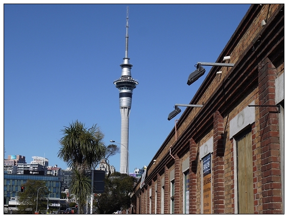 Auckland City