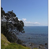 Goat island marine reserve Goat island marine reserve