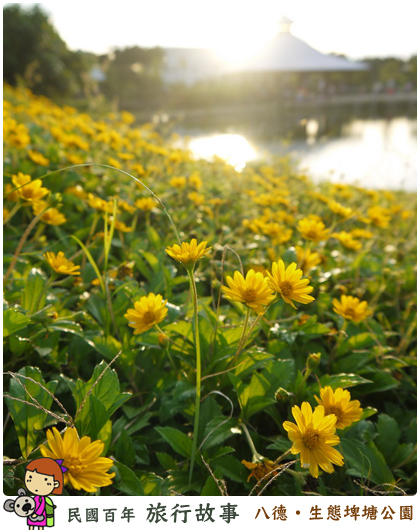 八德生態埤塘公園