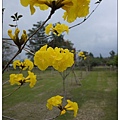 台東 濱海公園