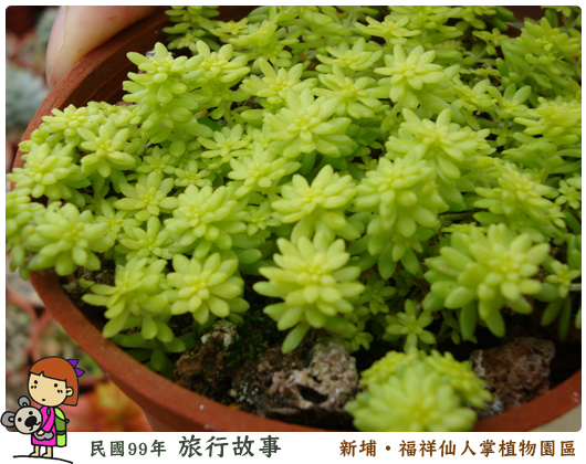 福祥仙人掌植物園區