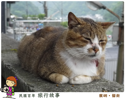 猴硐 貓街