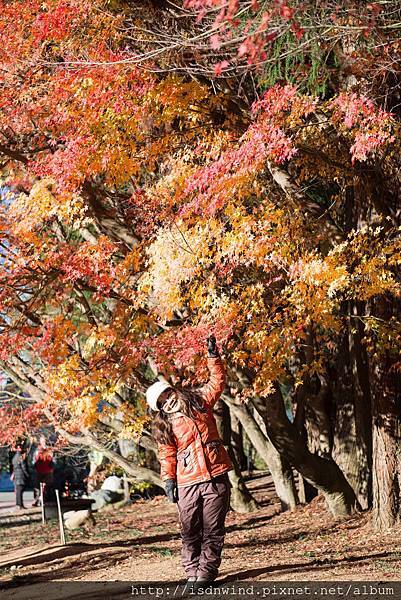 20131130福壽山-武陵_029.jpg