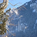 家琦-01.02 Neuschwanstein-IMG_0892.JPG