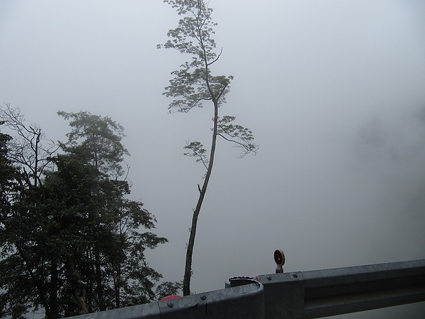 東勢大雪山 (93).jpg