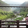 東勢大雪山 (192).jpg