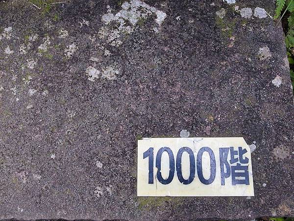 龜山島 (139).jpg