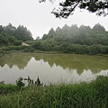 東勢大雪山 (174).jpg