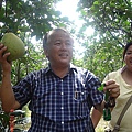 20100904三芝拔柚柚 (41).jpg