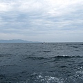 龜山島 (221).JPG