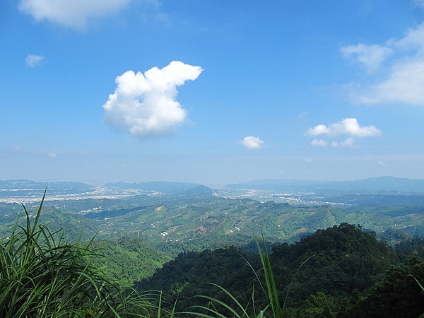 東勢大雪山 (309).jpg