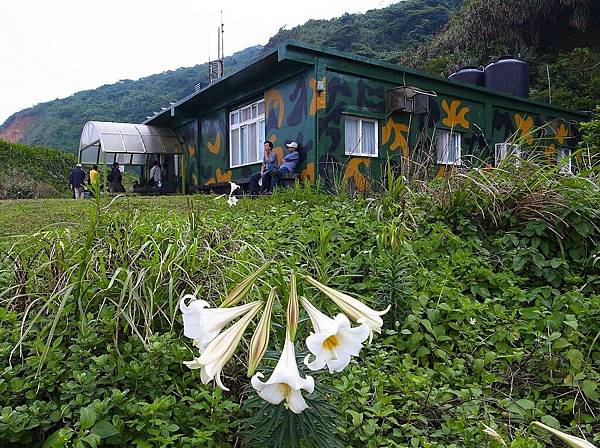 龜山島 (96).jpg