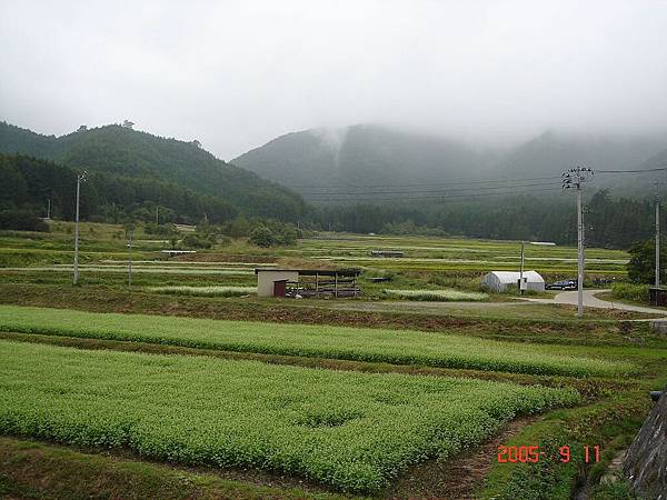 東北風光 (3).jpg