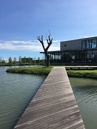 IMG_0126.JPG IMG_0126.JPG