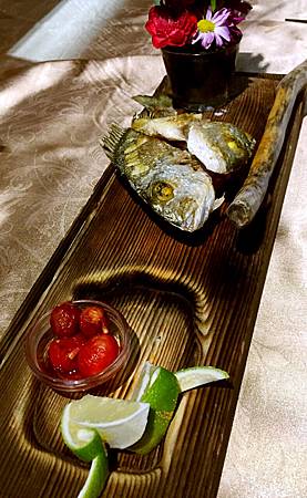 IMG_0977.JPG IMG_0977.JPG