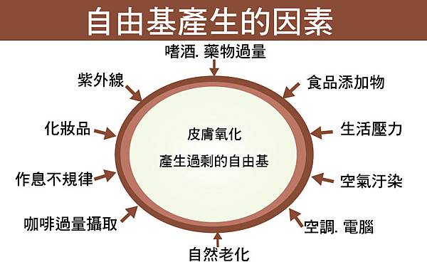 Physicians-Box-Ageing-2 Physicians-Box-Ageing-2