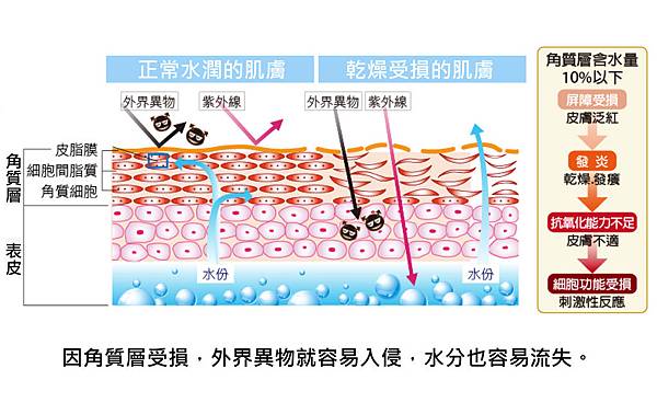 Physicians Box-Fine lines-2