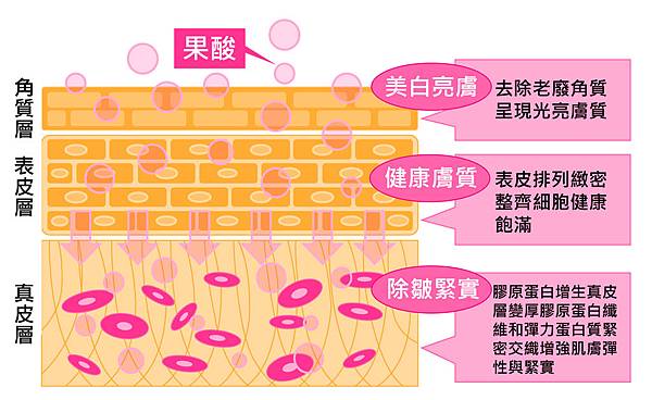 Physicians Box-Pores-2