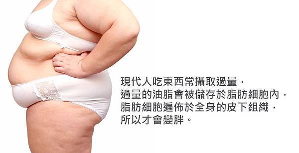 Wu-Doctor-Fat-2 Wu-Doctor-Fat-2