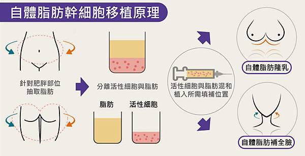Wu-Doctor-Fat-2 Wu-Doctor-Fat-2