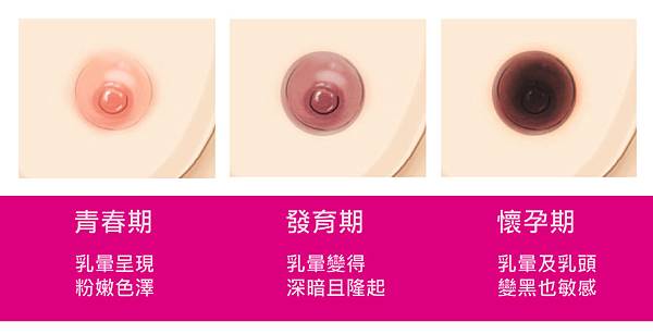Wu-Doctor-breast-2 Wu-Doctor-breast-2