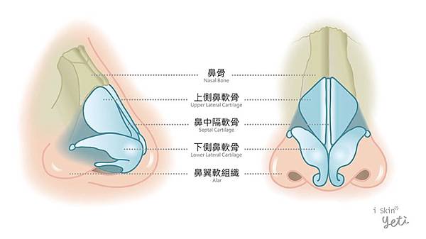 擷取