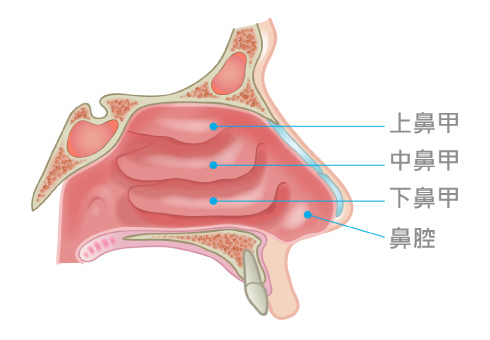 Chen-pixnet-Laser-tissue-4