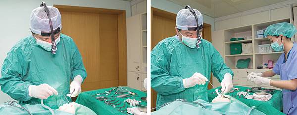 nose-Howe-3 nose-Howe-3