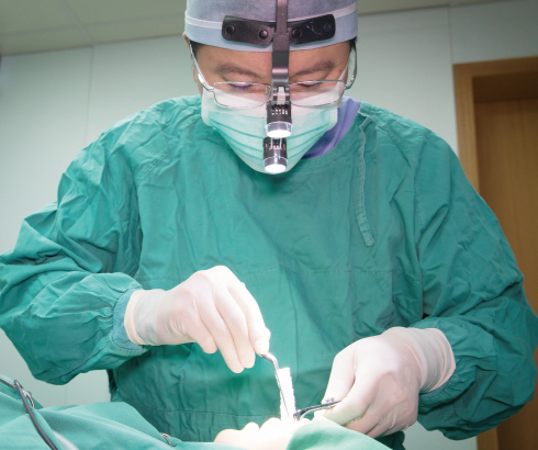 nose-Howe-4 nose-Howe-4