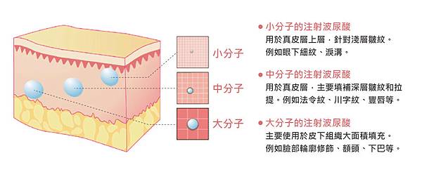 Hyaluronic-Cecilia-3 Hyaluronic-Cecilia-3