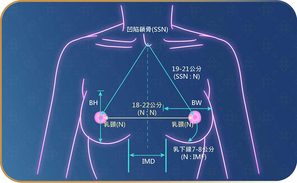 新隆乳頁面004.jpg