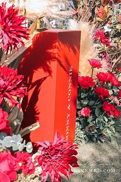 IMG_3432.jpg IMG_3432.jpg