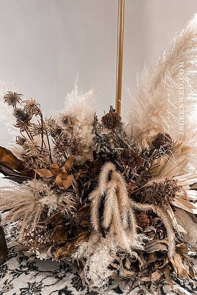 IMG_3244.jpg IMG_3244.jpg