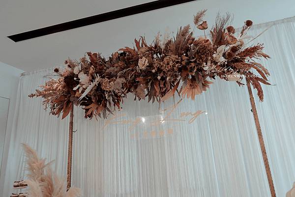 IMG_2586.jpg IMG_2586.jpg