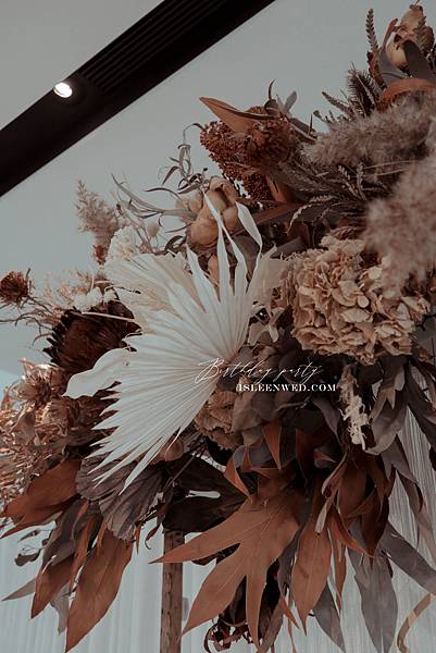 IMG_2617.jpg IMG_2617.jpg