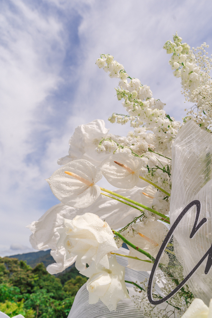 | 婚禮佈置 | 總監方案 優聖美地戶外證婚