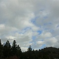 DSCN1387