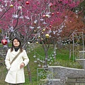 DSCN1389